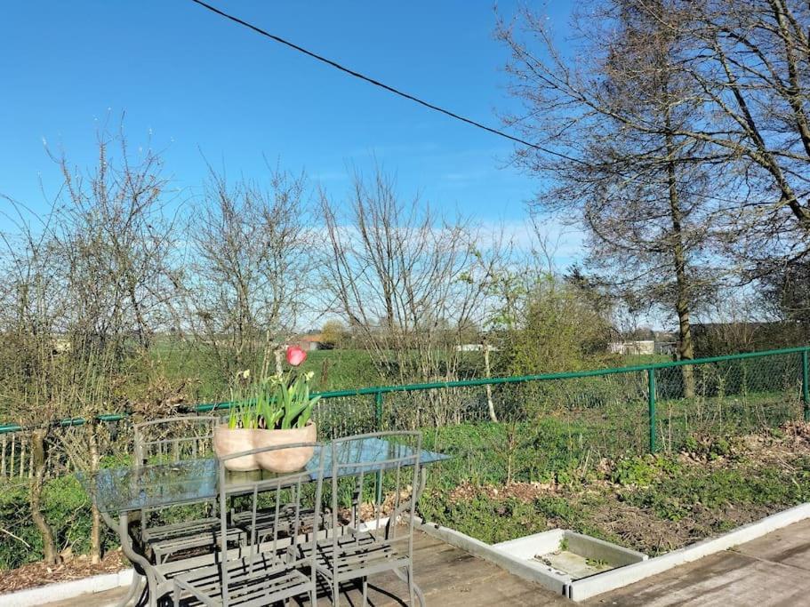 Gite Rural La Ferme Du Semeur-Zaaiershof Lessines Luaran gambar