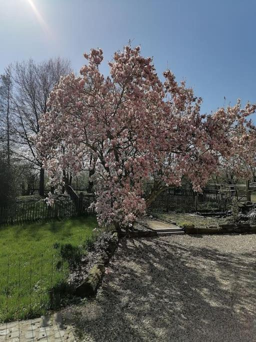 Gite Rural La Ferme Du Semeur-Zaaiershof Lessines Luaran gambar
