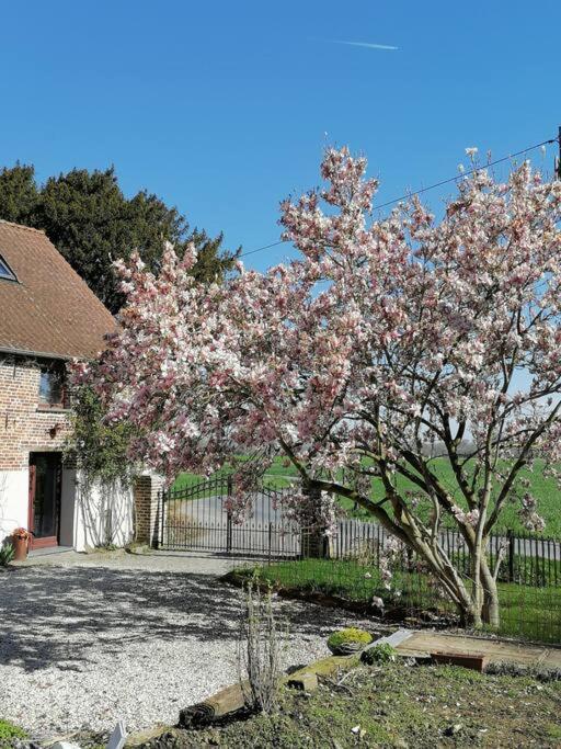 Gite Rural La Ferme Du Semeur-Zaaiershof Lessines Luaran gambar
